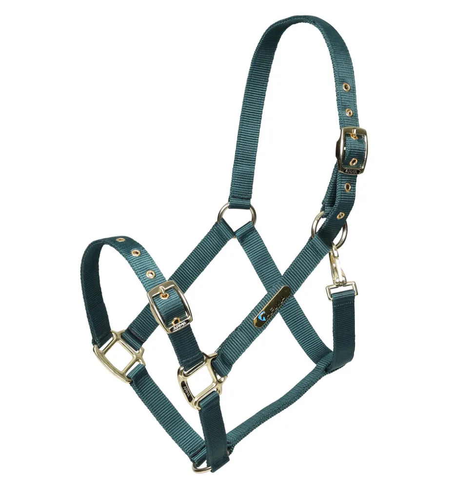ARMA Adjustable Headcollar