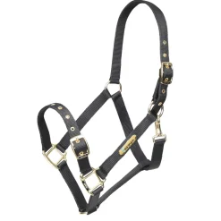 ARMA Adjustable Headcollar