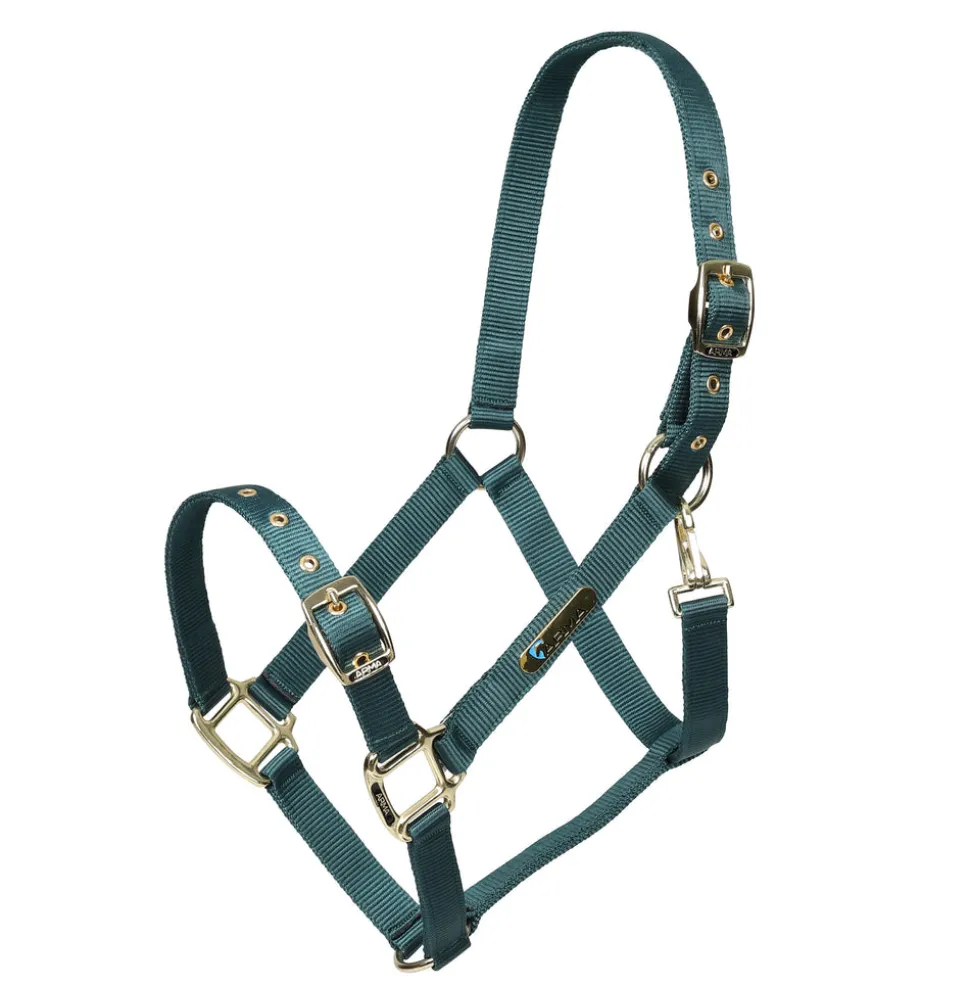ARMA Adjustable Headcollar