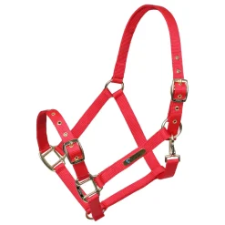 ARMA Adjustable Headcollar