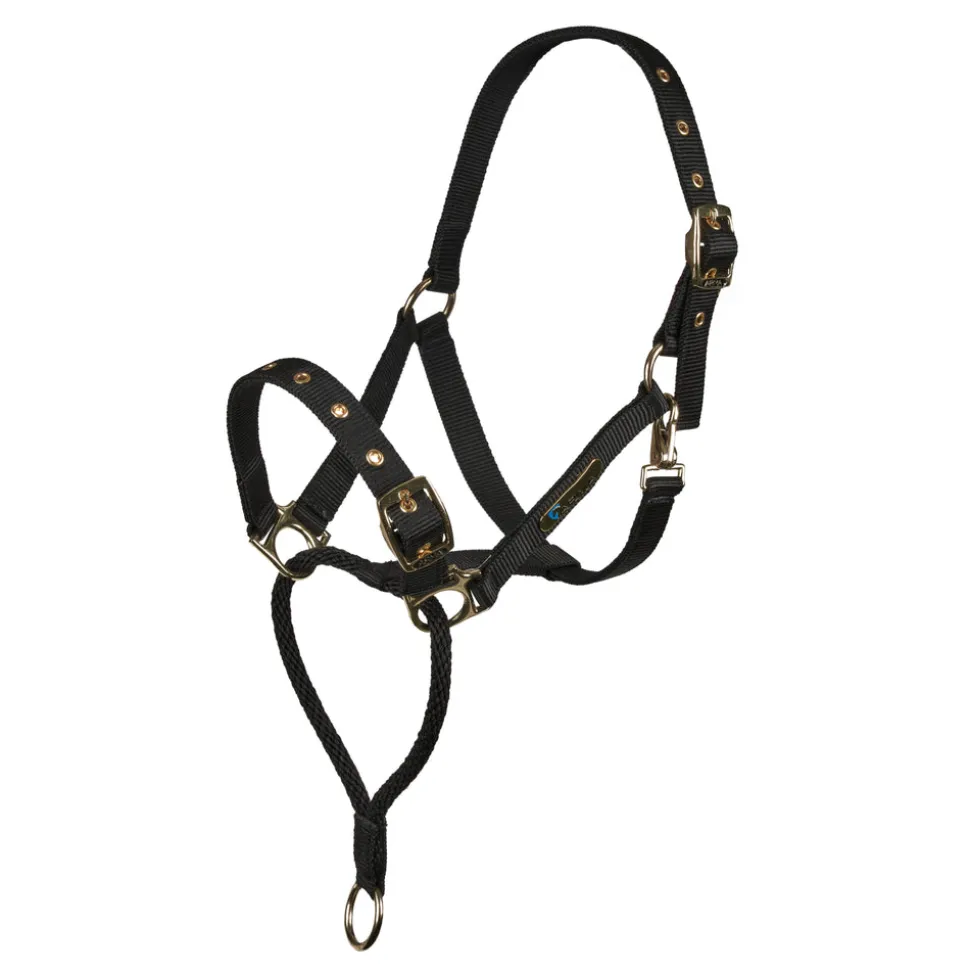 ARMA Control Headcollar