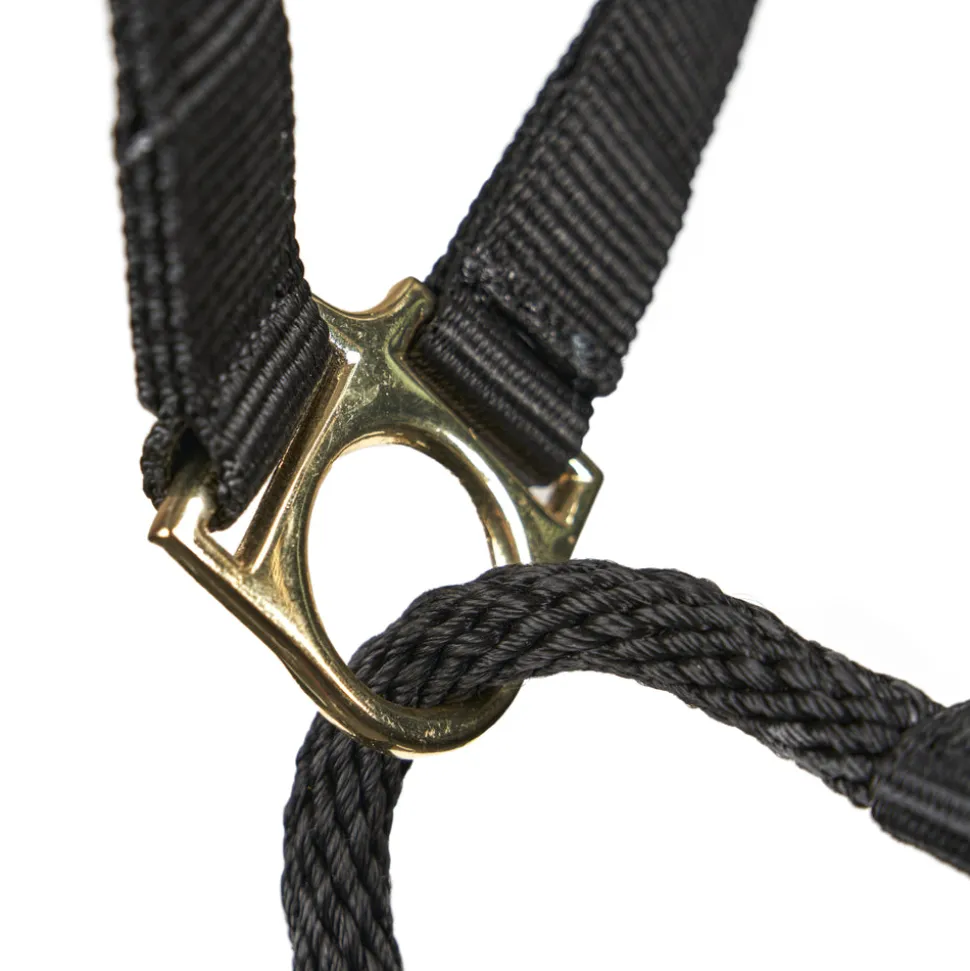 ARMA Control Headcollar
