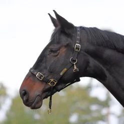 ARMA Control Headcollar