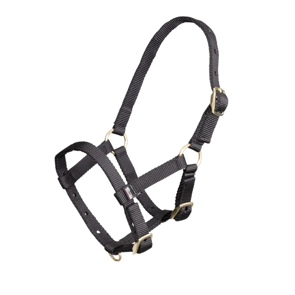 ARMA Foal Headcollar