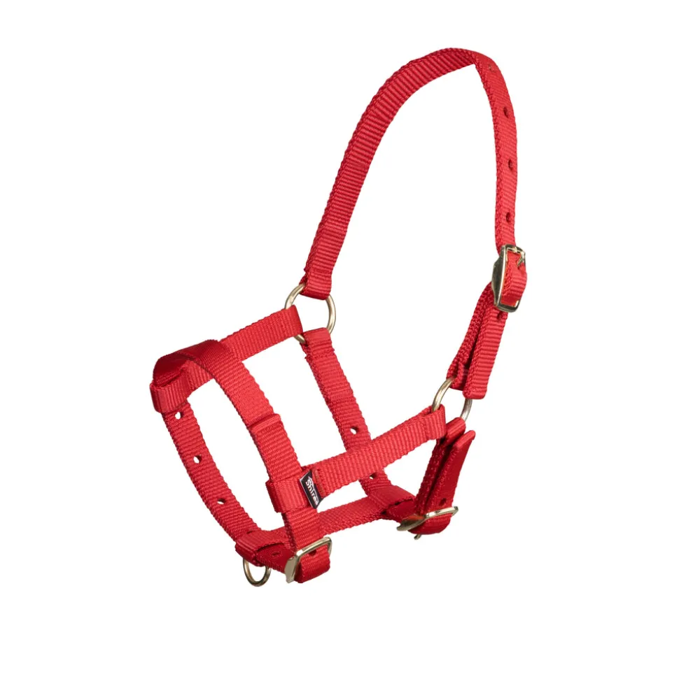 ARMA Foal Headcollar