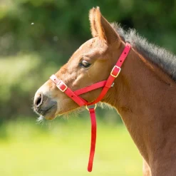 ARMA Foal Slip