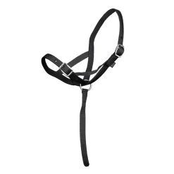 ARMA Foal Slip