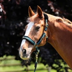 ARMA Logo Headcollar & Lead Rope