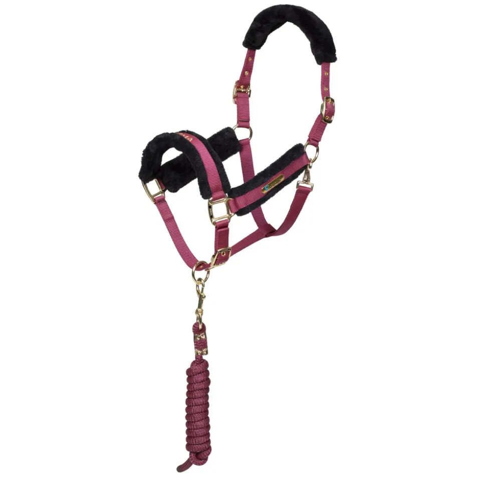ARMA Logo Headcollar & Lead Rope