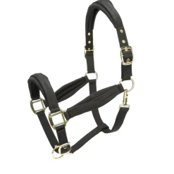 ARMA Padded Headcollar