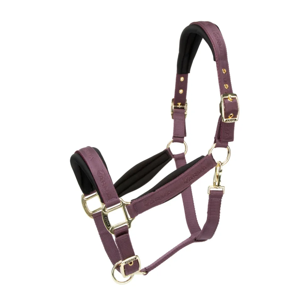 ARMA Padded Headcollar