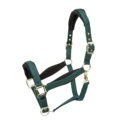ARMA Padded Headcollar