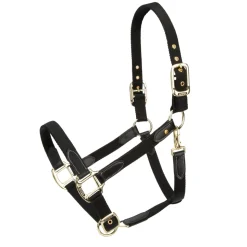 ARMA Porto Headcollar