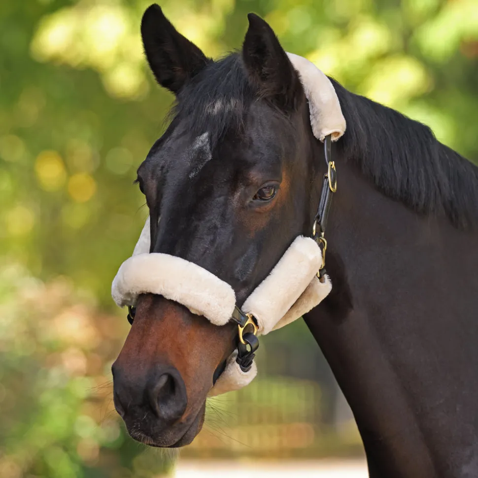 ARMA SupaFleece Halter Fleeces