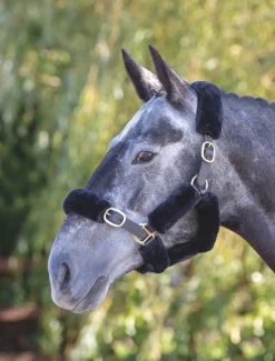 ARMA SupaFleece Halter Fleeces
