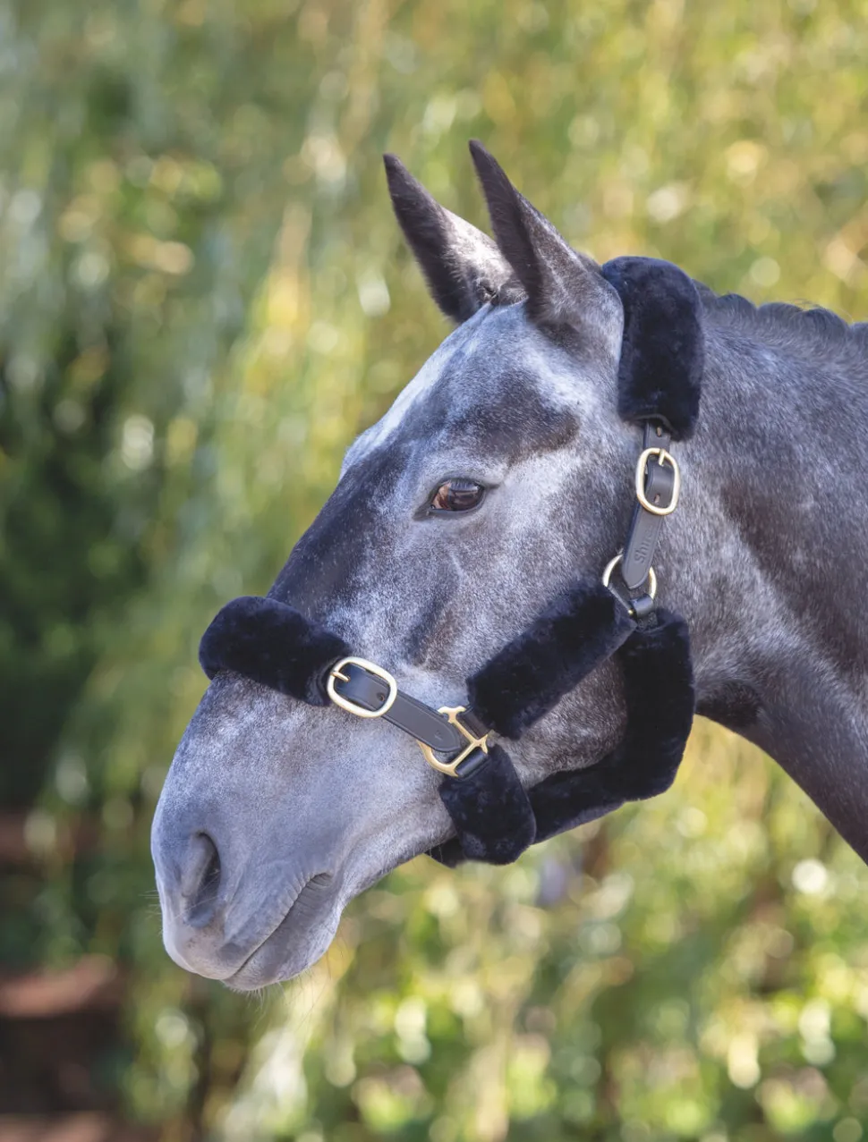 ARMA SupaFleece Halter Fleeces