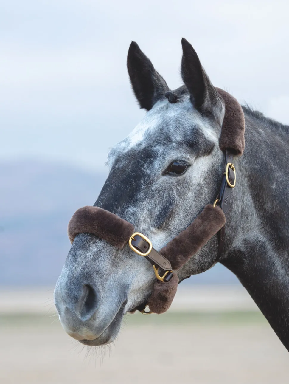 ARMA SupaFleece Halter Fleeces