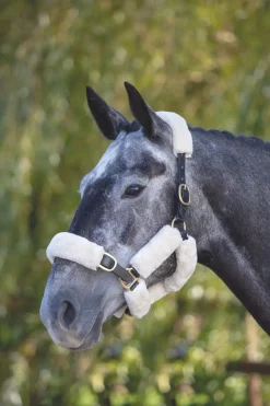 ARMA SupaFleece Halter Fleeces