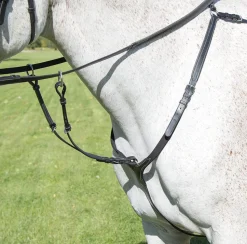 Avignon Breastplate