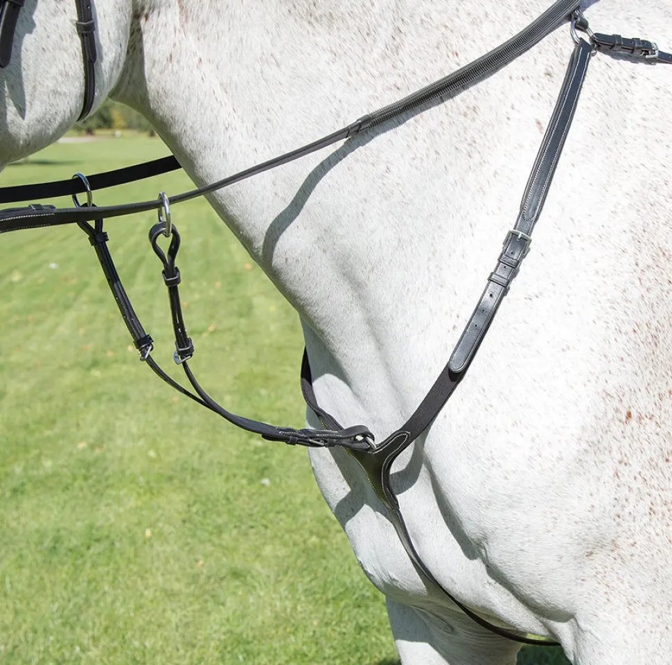 Avignon Breastplate