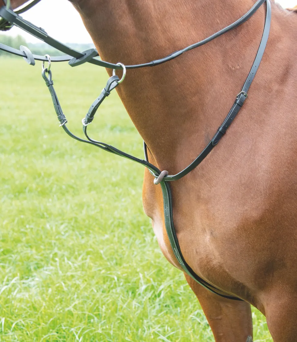 Avignon Running Martingale