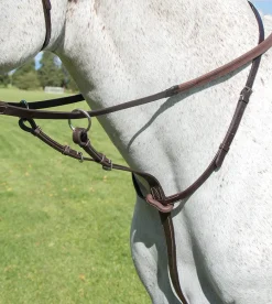 Avignon Running Martingale