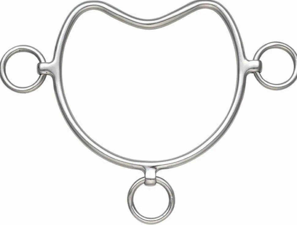 Chifney Bit