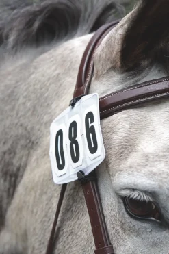 Competition Number Kit