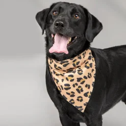 Digby & Fox Bandana