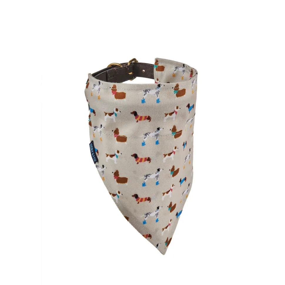 Digby & Fox Bandana