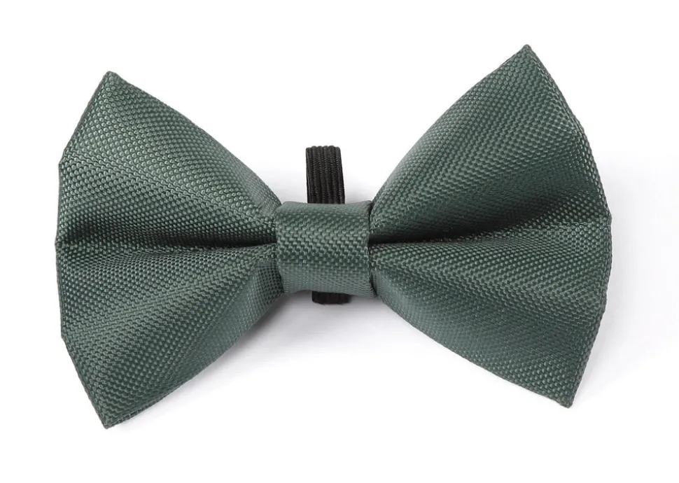 Digby & Fox Bow Tie
