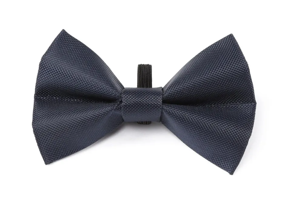 Digby & Fox Bow Tie