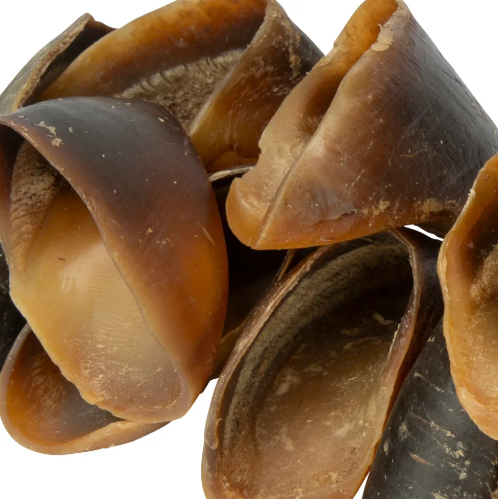Digby & Fox Buffalo Hoof