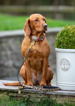 Digby & Fox Cow Hair Dog Collar
