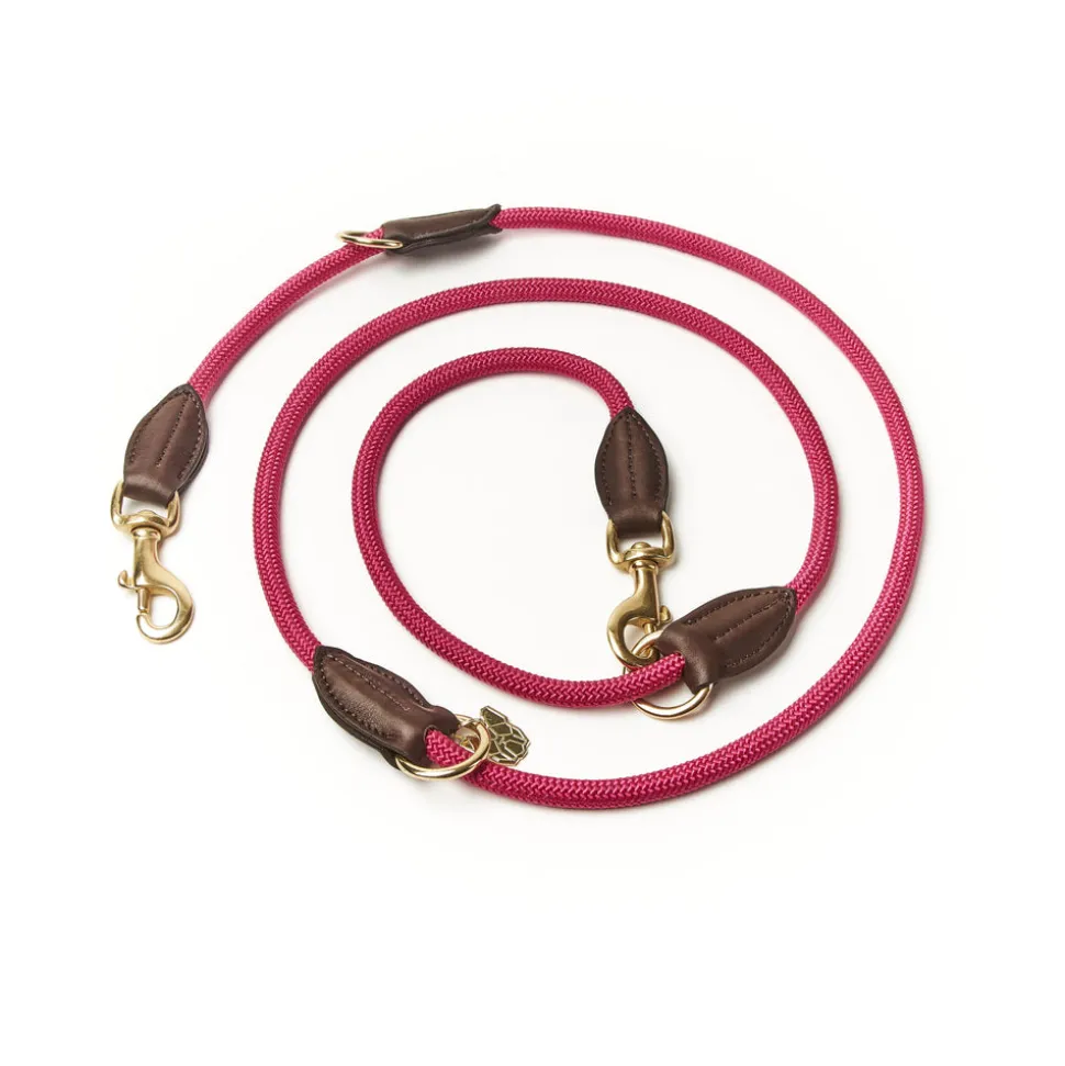 Digby & Fox Fine Rope Training Lead