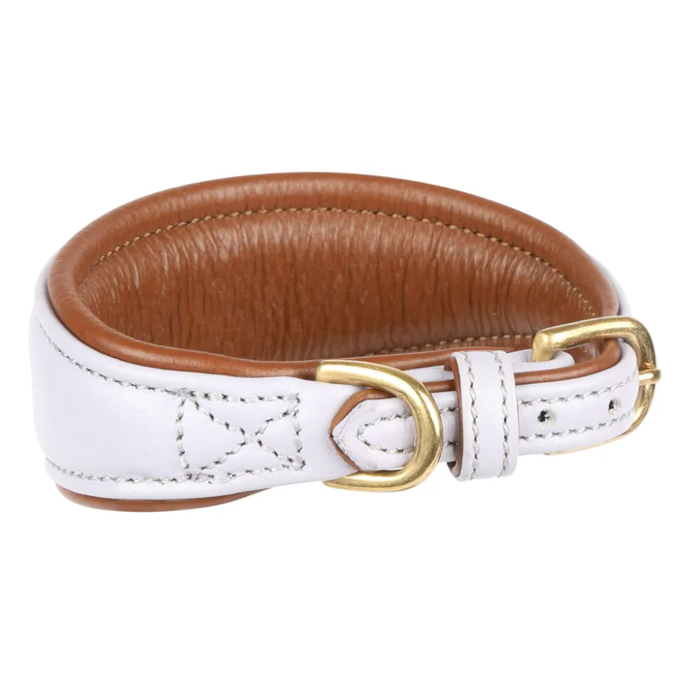 Digby & Fox Padded Greyhound Collar