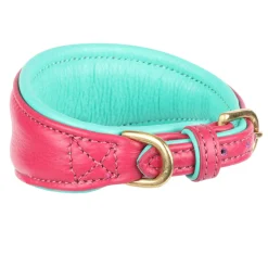 Digby & Fox Padded Greyhound Collar