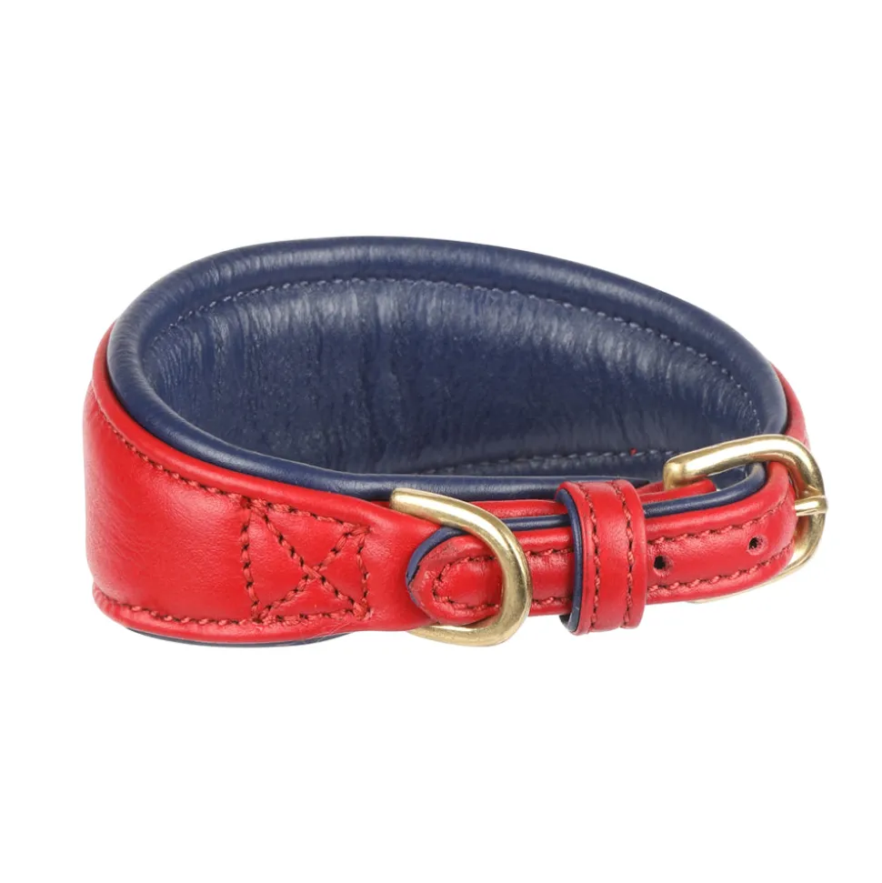 Digby & Fox Padded Greyhound Collar