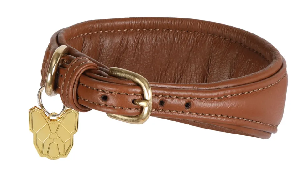 Digby & Fox Padded Greyhound Collar