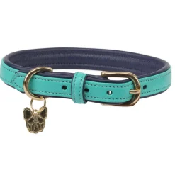 Digby & Fox Padded Leather Dog Collar