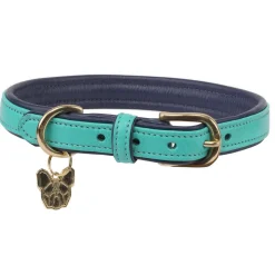 Digby & Fox Padded Leather Dog Collar