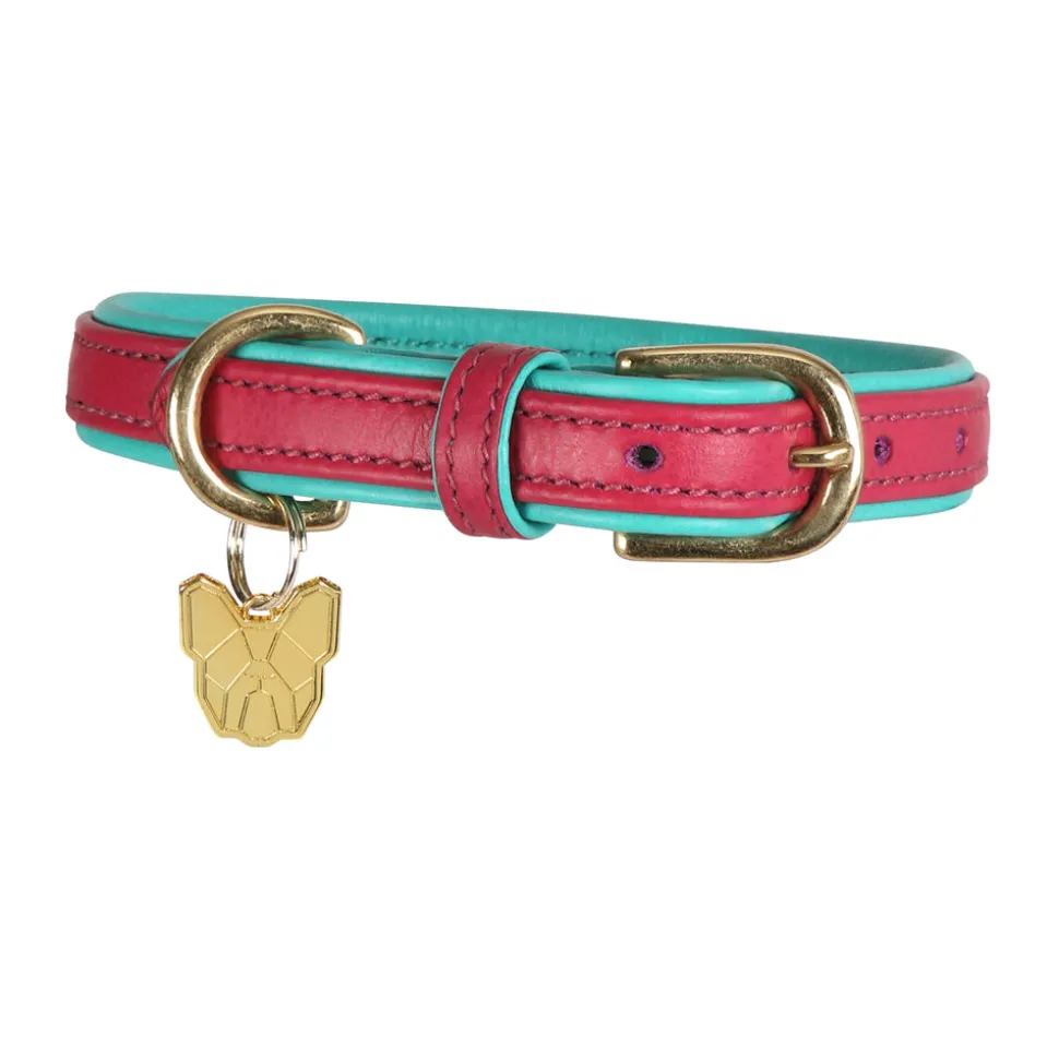 Digby & Fox Padded Leather Dog Collar