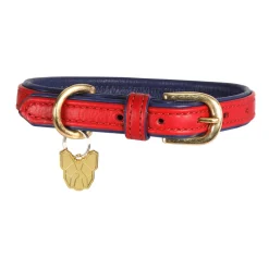 Digby & Fox Padded Leather Dog Collar