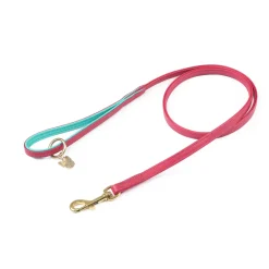 Digby & Fox Padded Leather Dog Lead