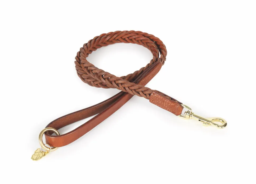 Digby & Fox Plaited Dog Lead