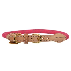 Digby & Fox Reflective Dog Collar