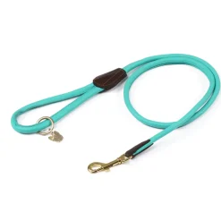 Digby & Fox Rolled Leather Dog Lead