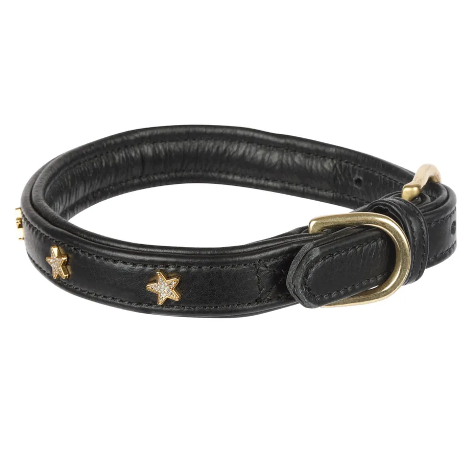 Digby & Fox Star Dog Collar