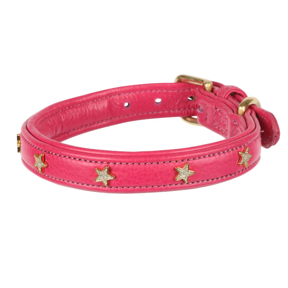 Digby & Fox Star Dog Collar