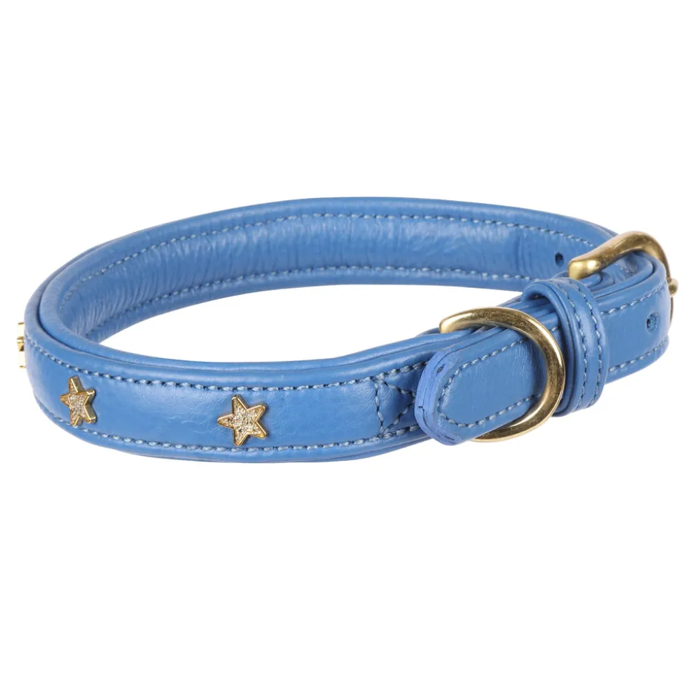 Digby & Fox Star Dog Collar